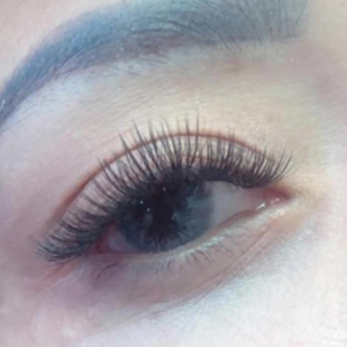 Hybrid Natural 210K